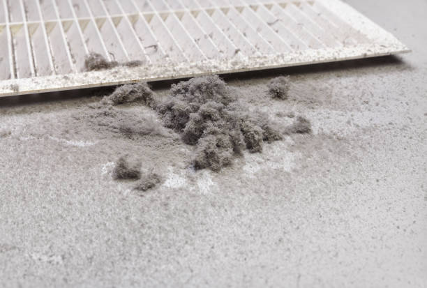 Best Commercial Air Duct Cleaning  in Wayne, WV