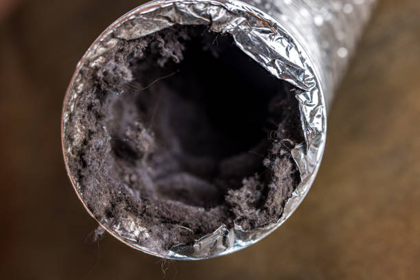 Reliable Wayne, WV Airduct Cleaning Solutions