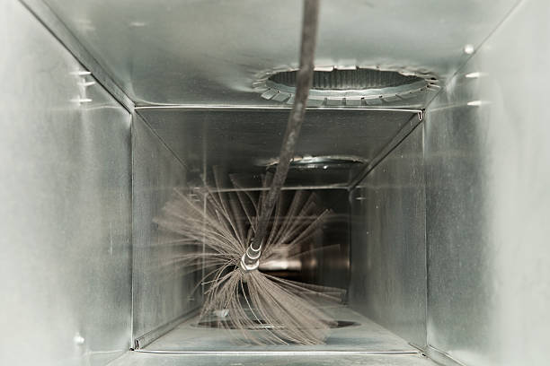 Best Emergency Air Duct Cleaning  in Wayne, WV