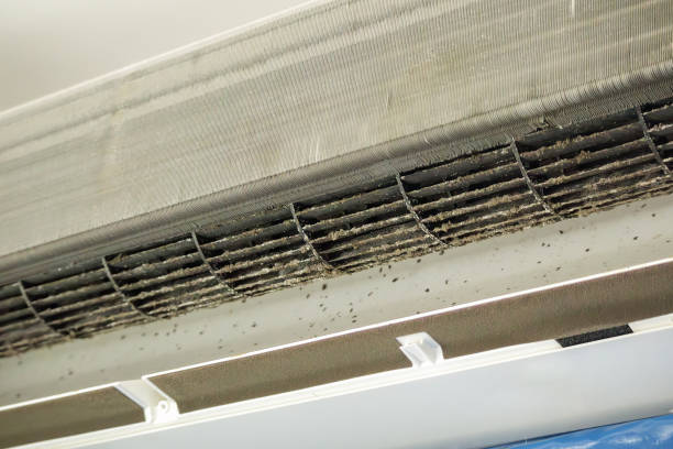 Best Commercial Air Duct Cleaning  in Wayne, WV