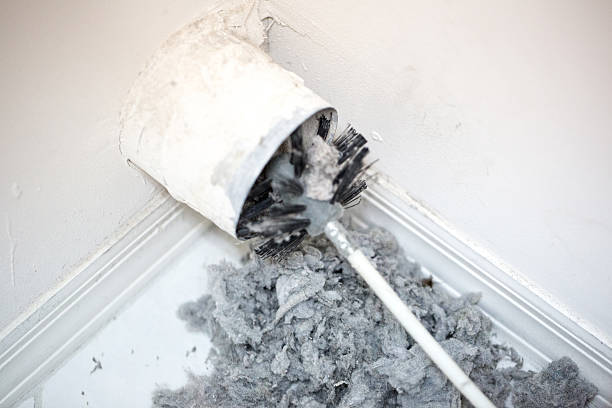 Best Affordable Air Duct Cleaning  in Wayne, WV