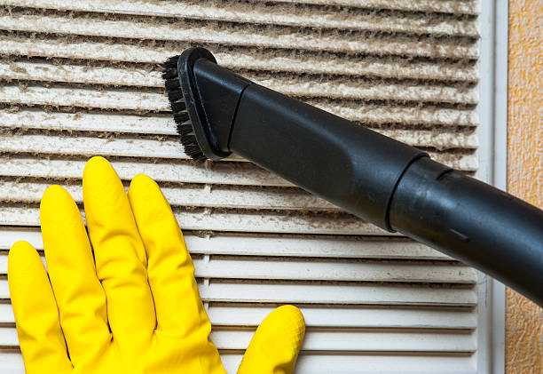 Best Affordable HVAC Duct Cleaning  in Wayne, WV