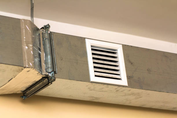 Best Ductwork Cleaning Services  in Wayne, WV